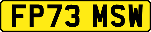 FP73MSW