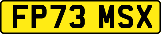 FP73MSX