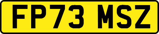 FP73MSZ