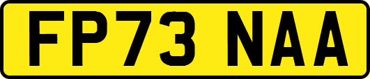 FP73NAA