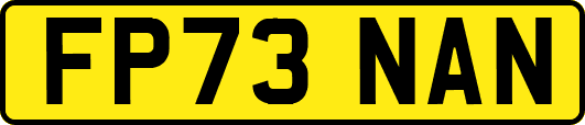 FP73NAN