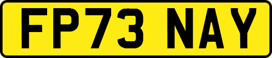 FP73NAY