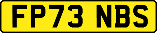 FP73NBS