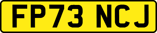FP73NCJ