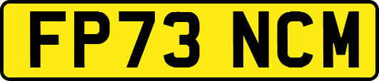 FP73NCM