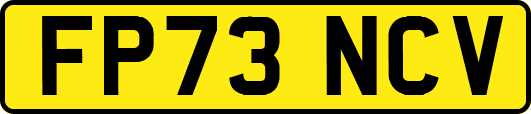 FP73NCV