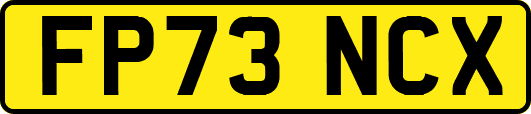 FP73NCX