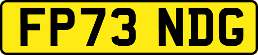 FP73NDG