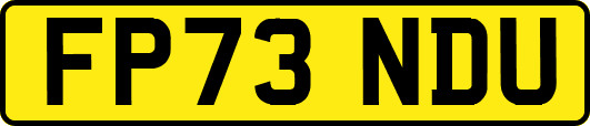 FP73NDU