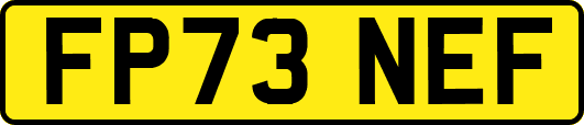 FP73NEF