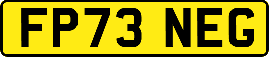 FP73NEG