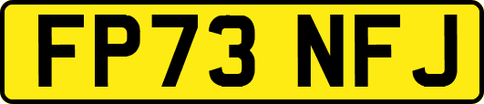 FP73NFJ