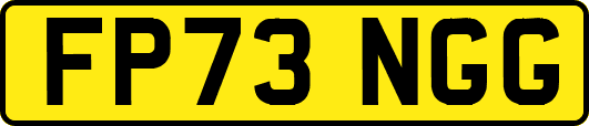 FP73NGG
