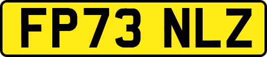 FP73NLZ