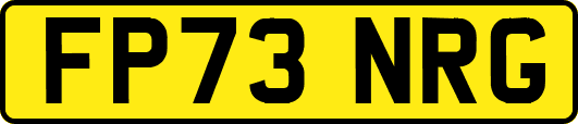 FP73NRG