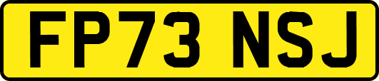 FP73NSJ