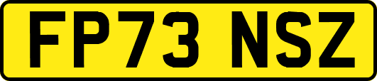 FP73NSZ