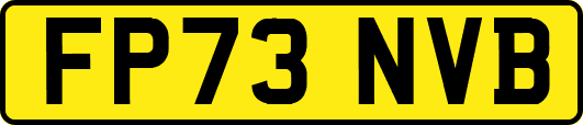FP73NVB