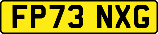 FP73NXG