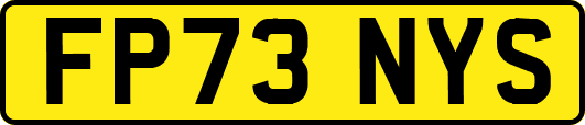 FP73NYS