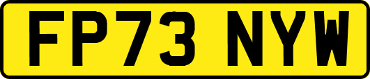 FP73NYW