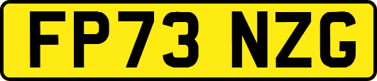 FP73NZG
