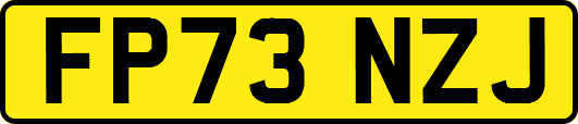 FP73NZJ