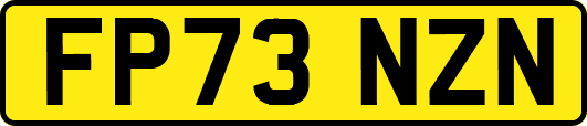 FP73NZN