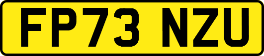FP73NZU