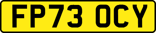 FP73OCY