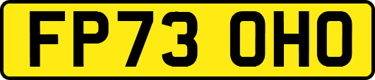 FP73OHO