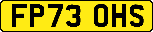 FP73OHS