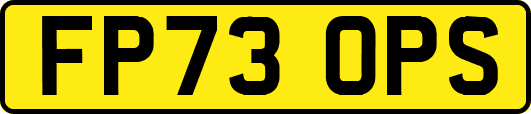 FP73OPS