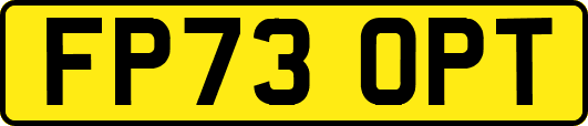 FP73OPT