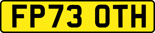 FP73OTH