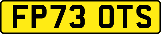 FP73OTS