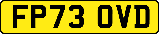 FP73OVD