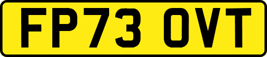 FP73OVT