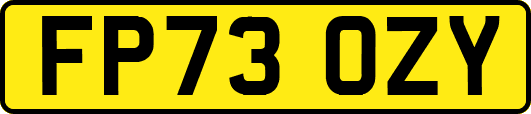 FP73OZY