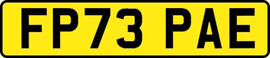 FP73PAE