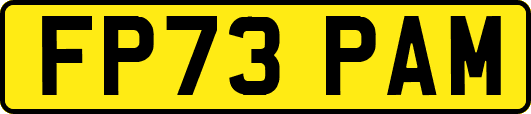 FP73PAM