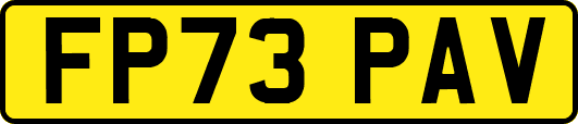 FP73PAV