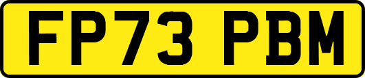 FP73PBM