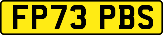 FP73PBS