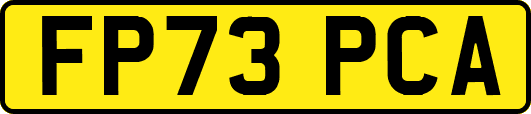 FP73PCA
