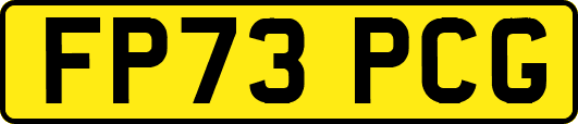 FP73PCG
