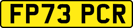 FP73PCR