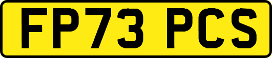 FP73PCS