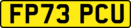 FP73PCU