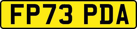 FP73PDA